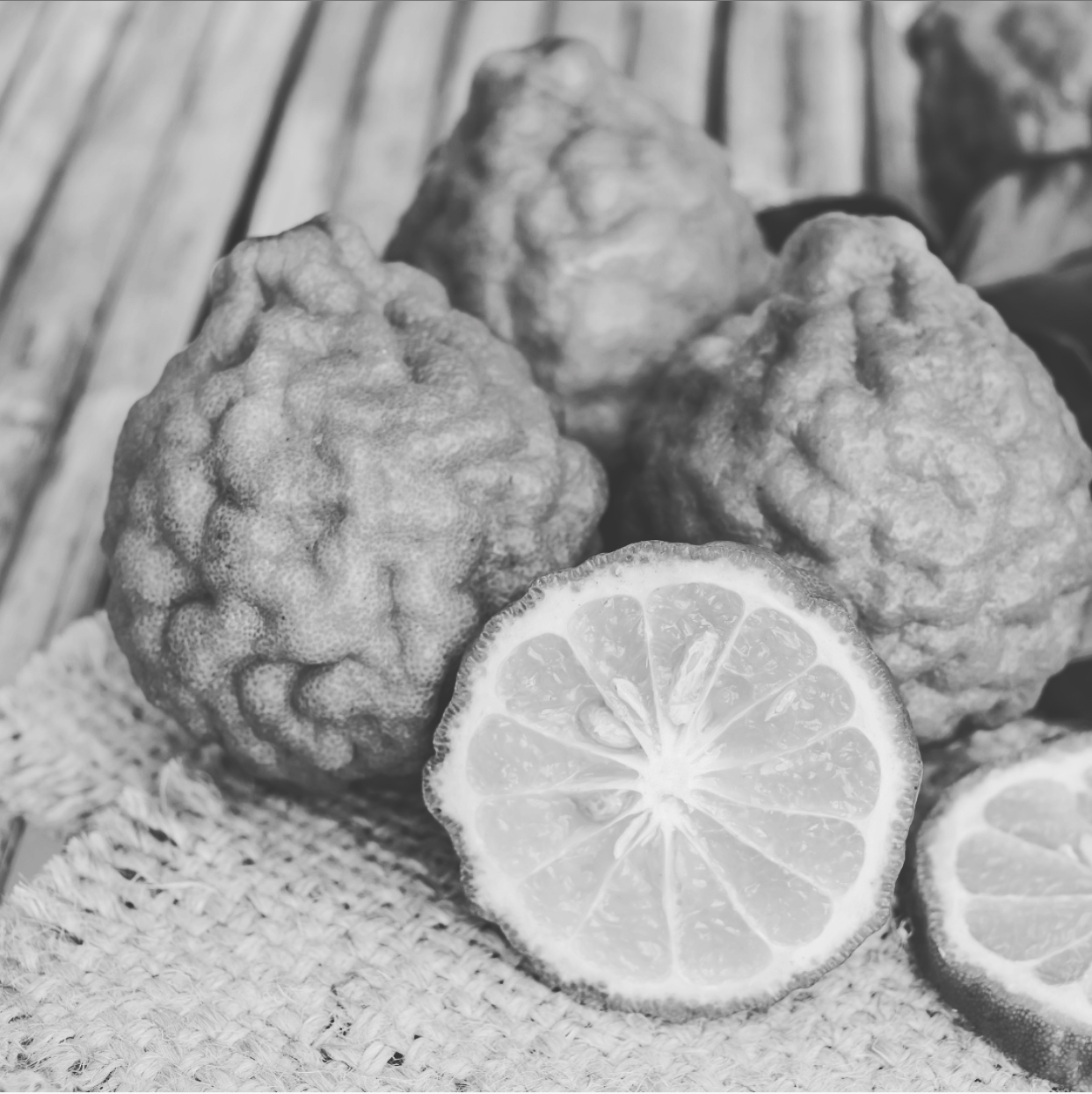 On Citrus Bergamot and Blood Lipids